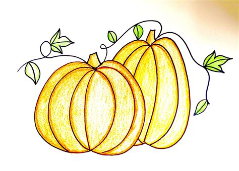 Pumpkin Plant Drawing At Getdrawings Free Download