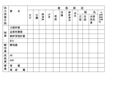 To view this video please enable javascript, and consider upgrading to a web browser that. PPT - 实验五、四大类微生物的形态鉴别 PowerPoint Presentation - ID:6365077