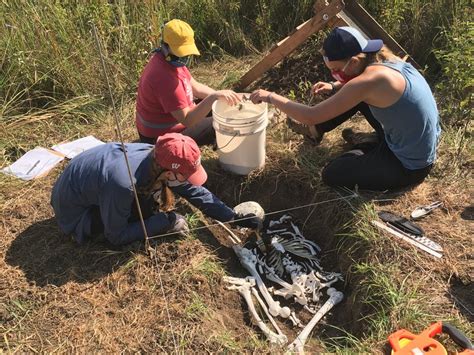 How Do Bodies Decompose On The Great Plains Unl Researchers Now Have A
