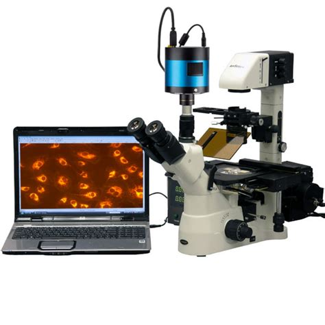 Amscope 40x 1500x Inverted Phase Contrast Fluorescence Microscope