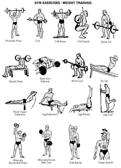 Perfect guide to figuring out gym equipment names, pictures, what muscle groups they target, how to use the machines, and things to keep this guide will help you put together an effective and informed workout regiment. Pin on Health