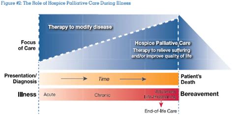 Hospice Palliative Care Diagram Download Scientific Diagram