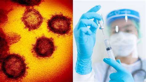 97 studies, 59 peer reviewed, 60 with results comparing treatment and control groups. Coronavirus: Anti-parasitic drug Ivermectin kills COVID-19 ...