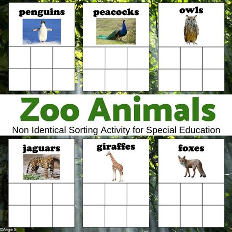Zoo Animals Activity for Preschool | Zoo animal activities, Zoo animals