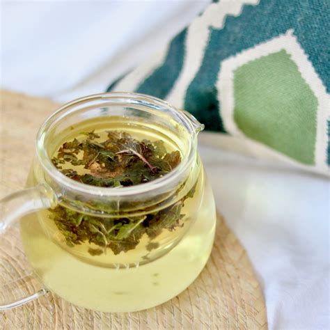 Les Bienfaits De La Tisane De Verveine