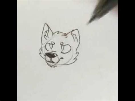 How to draw expressions on furry characters. How to draw a furry wolf head? Simple! - YouTube