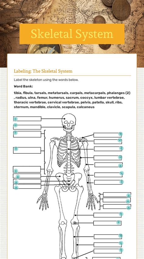 Skeletal System Interactive Worksheet By Yoanna Mariska Wizerme