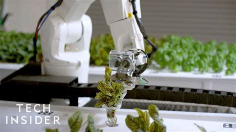 How This Robotic Farm Is Reimagining Agriculture Robot Agriculture