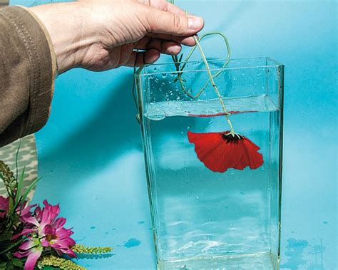 How To Underwater Flower Photography Underwater Flowers Flowers