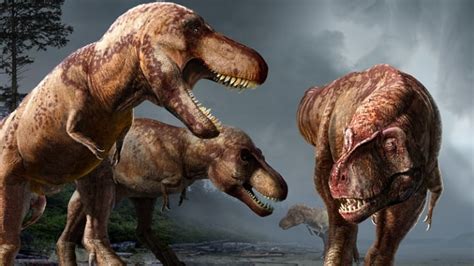 Billions And Billions Of Tyrannosaurs Walked The Earth Cbc Radio