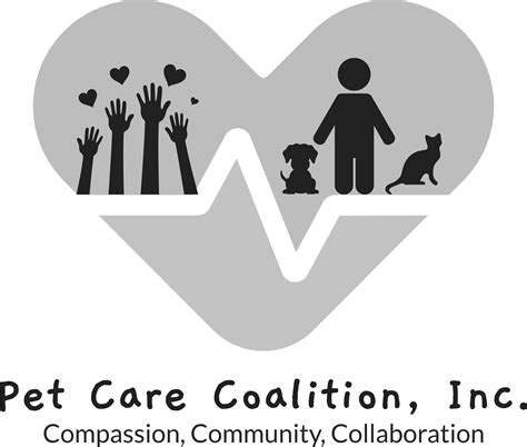 School’s out for summer – or is it? Tips for training your pet | Pet