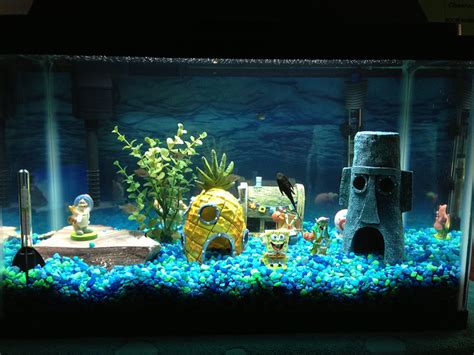 Fish Tank Decorations A Simple Guide Aquariphiles