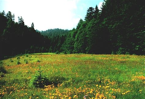 Udaljeni jedan od drugoga samo tri kilometra, kamenim licem o lice. NACIONALNI PARK RISNJAK - Priroda - Primorsko - goranska ...