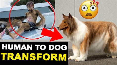Japanese Man Toko Dog Transformation Human To Dog Convert Spends 12