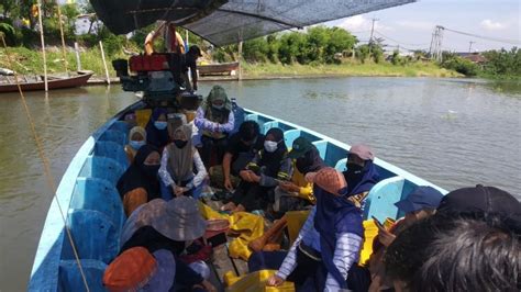 Duh Mangrove Surabaya Dipenuhi Sampah Plastik