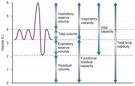 Functional Residual Capacity Frc And Pulmonary Vascular Resistance