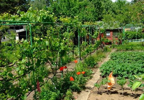 Maybe you would like to learn more about one of these? Garten Zum Pachten - Gartengestaltung Idee