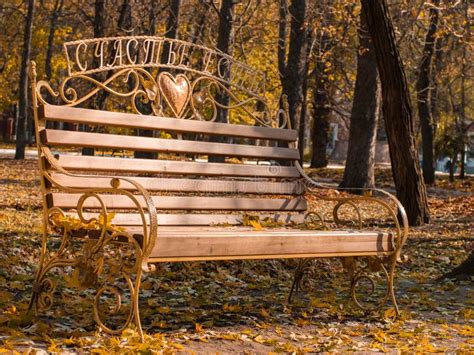 Bench In Autumn Park With Fallen Leaves Stock Image Image Of Branch