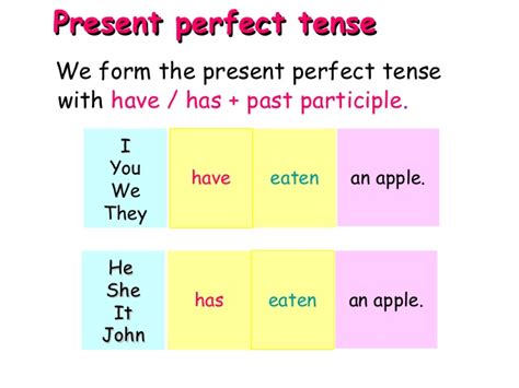 You have taught me the lesson. Present Perfect Tense - English Hold
