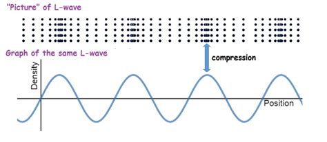 L Waves