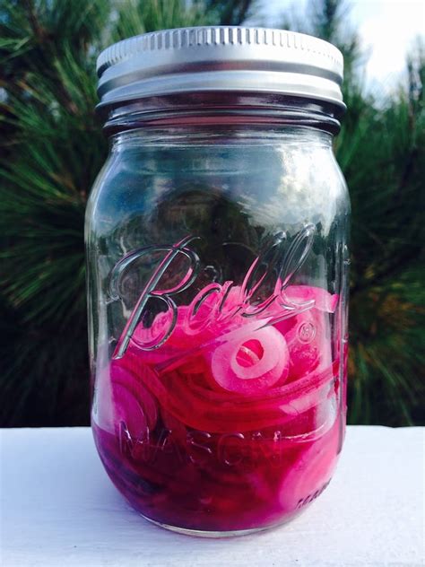 Pour boiling water over onion rings in a large bowl until covered. Pickled Red Onions - Easy Pickle Recipies