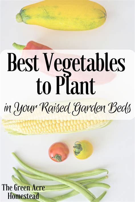 Best Vegetables To Plant In Your Raised Garden Beds Are You Starting