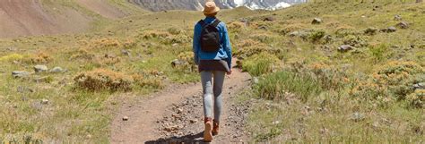 Corporación de adelanto de farellones. Excursión a Farellones y Valle Nevado - Tourse - Excursiones