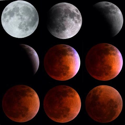 A water sign moon with many moods this is a sensitive water sign moon with many moods. 33 What Does The Blood Moon Mean In Astrology - Astrology ...