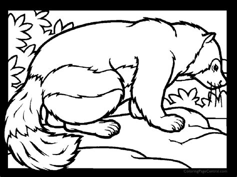 badger  coloring page coloring page central