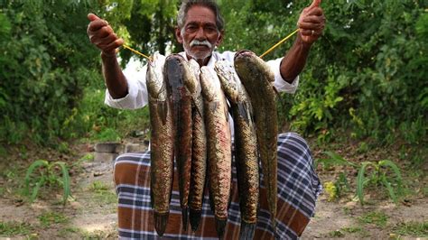 Fish names in malayalam, tamil, telugu when i relocated, i found it very difficult to identify the fishes in the local market. Snakehead Fish Recipe | Delicious Murrel Fish curry ...