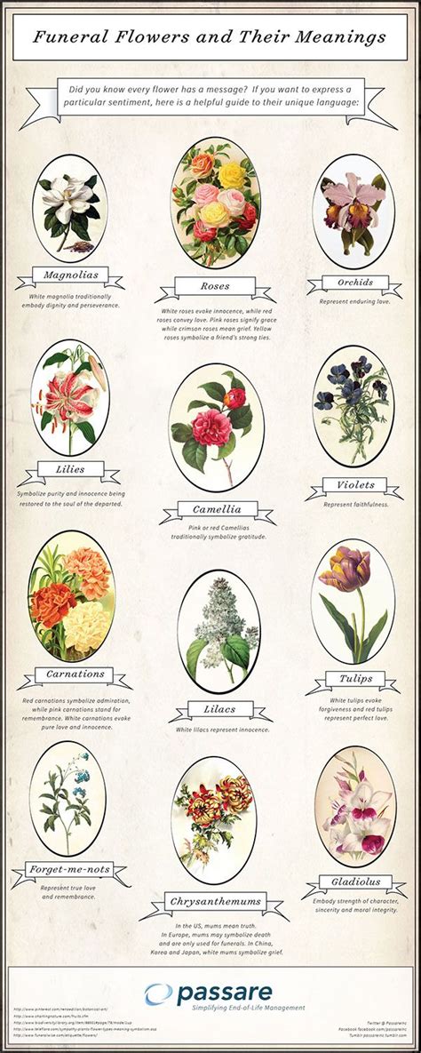 Before you buy a bouquet﻿, check out these flower meanings for popular blooms like roses, tulips, lilies, and peonies, to make sure you send the right 50 beautiful flower meanings that will surprise you. Funeral Flowers and Their Meanings- my aunt is having a ...
