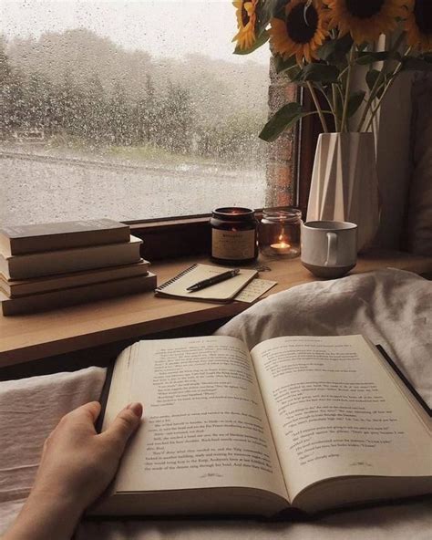 Read A Book Book Aesthetic Cozy Aesthetic Brown Aesthetic