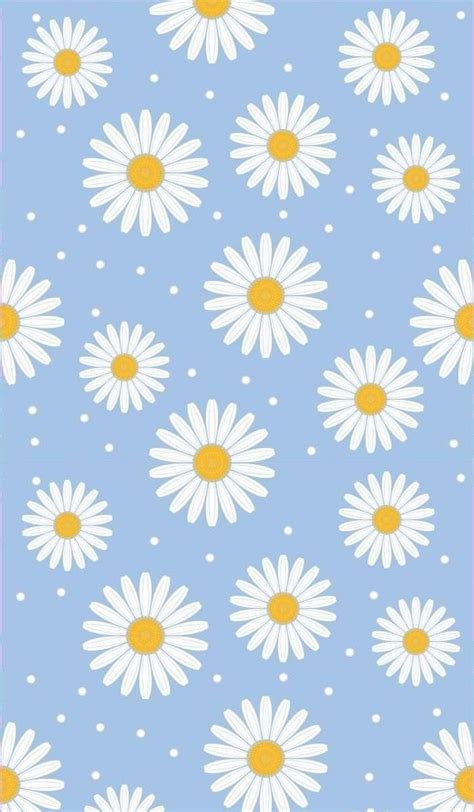 Daisy Wallpaper Simple Iphone Wallpaper Iphone Wallpaper Pattern