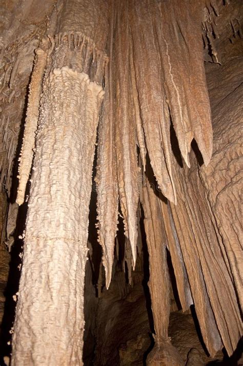 Cave Column From Lehman Cave Stock Image Image Of Park Spelunking