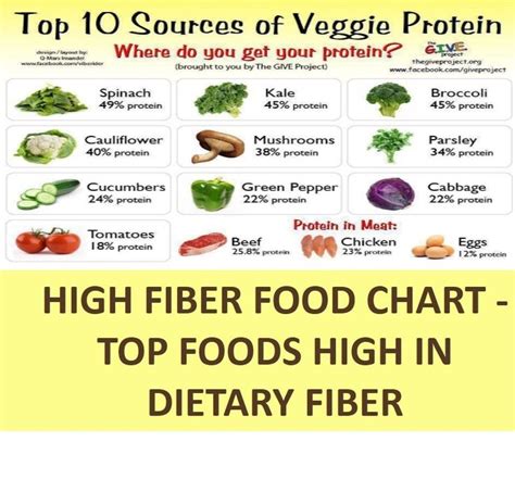High Fiber Food Chart Top Foods High In Dietary Fiber Fiber Food