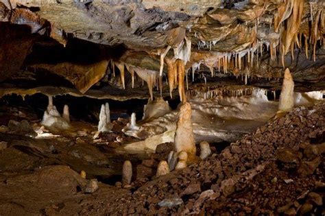 Ultimate Guide To Mystic Caverns Arkansas Tours Pricing History