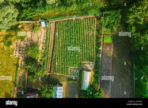 Aerial View Of Vegetable Garden Hi Res Stock Photography And Images Alamy