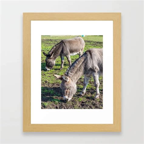 Donkeys Framed Art Print Art Prints Framed Art Framed Art Prints