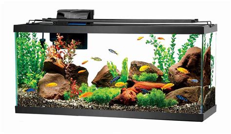 Feel free to ask any fish related questions or provide advice for new fish keepers. Fish Compatibility: How to Build a Peaceful Community Fish ...