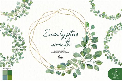 Watercolor Eucalyptus Wreath Clipart Greenery Frame Png 1160468