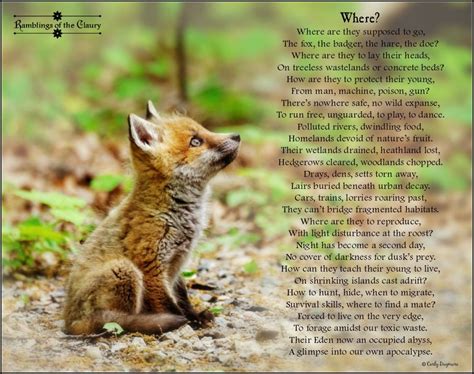 Be the change you wish to see. Where? | Animals, Animal magic, Save animals