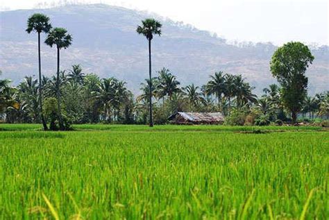 Kerala Villages Most Beautiful Place In India