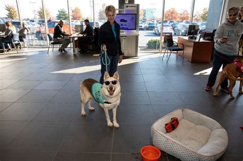 Priority 4 Paws Subaru And Local Animal Shelters Team Up For