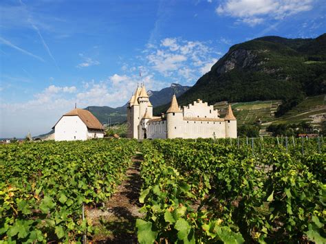 Il più economico è in auto che costa sfr 32. D'Aigle Del Castello Nel Cantone Il Canton Vaud, Svizzera ...