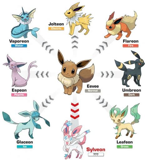Top Five Pokémon All Trainers Should Have