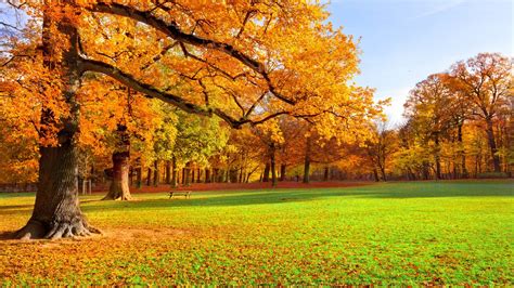 Scenery HD Wallpaper, Nature Scenery Wallpaper, #3344