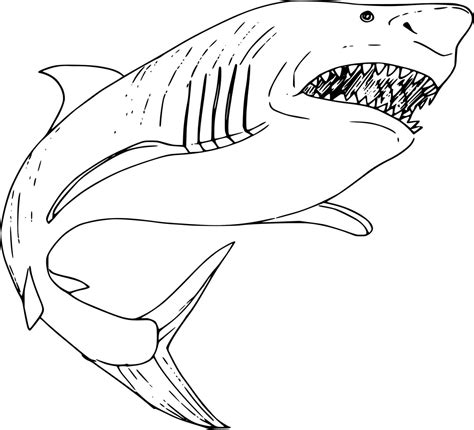 Dibujos de Tiburón para colorear e imprimir Dibujos Colorear Com