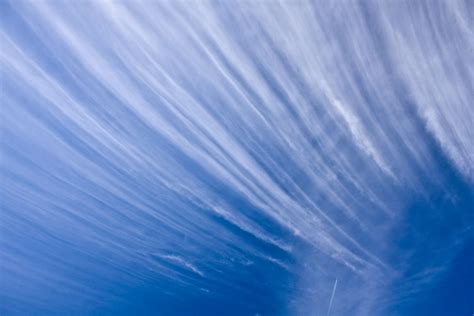 Check spelling or type a new query. Reflect the cirrus clouds of a crisp October sky | Cirrus ...