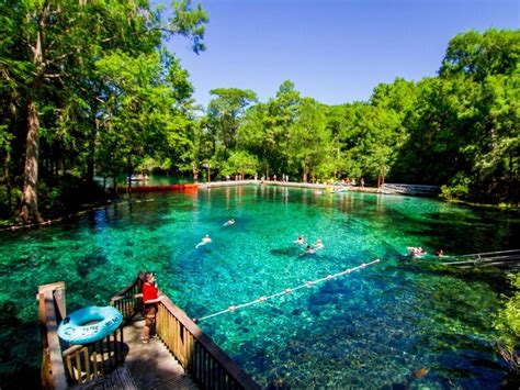 Top 12 Springs In North Florida 2022 With Photos And Map Trips To