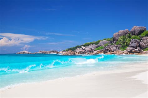 The Best Beaches In The Seychelles Your Ultimate Travel Guide To
